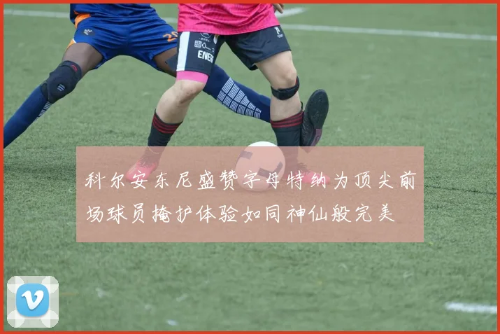 科尔安东尼盛赞字母特纳为顶尖前场球员掩护体验如同神仙般完美