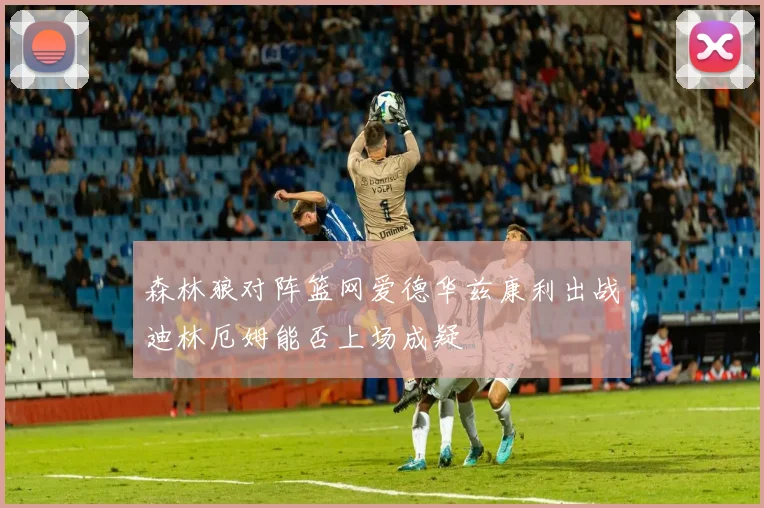 森林狼对阵篮网爱德华兹康利出战迪林厄姆能否上场成疑