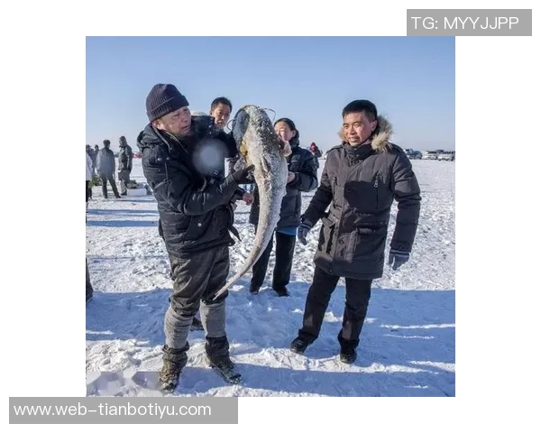 即将免费的大鱼25岁格伊单场助攻两次展现攻防兼备实力身价4500万